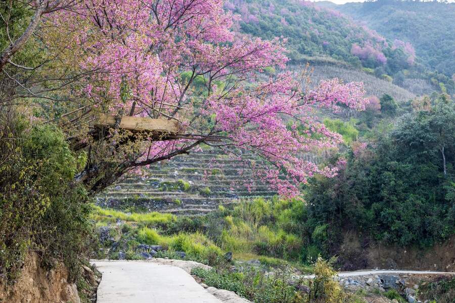 Biking Tour Northern Vietnam 7 Days